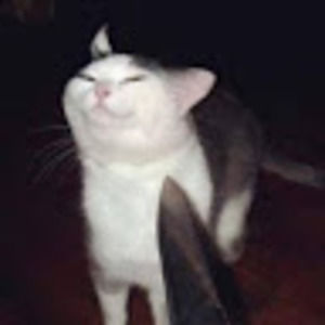 Meet your Posher, Ren